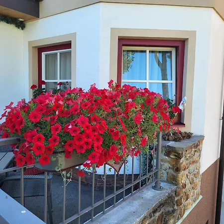 Hotel Garni Trenkenbach 4*